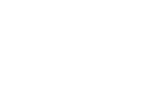 logo leone nuevo